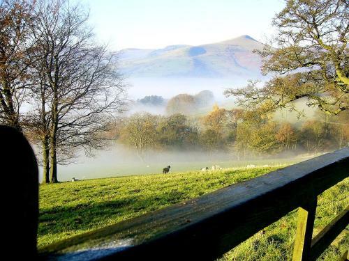 Twitchill Farm Shepherds Hut